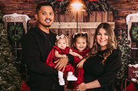 Laura Christmas mini 2022