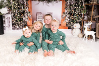 Debbie christmas mini 2024