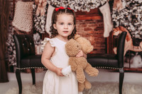 Bailey christmas mini 2025