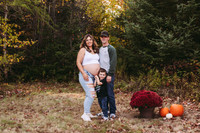 Ashley maternity fall 25