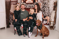 ami christmas mini 2025