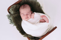 Carver newborn