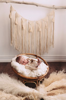 Addy newborn session