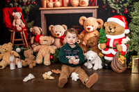 kristen christmas mini 2024