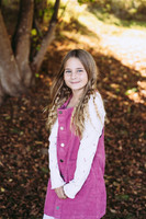 Rebecca fall mini 2024