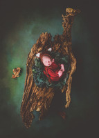 Kody newborn session