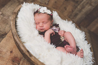 Scarlett newborn session