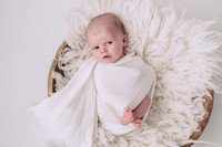 weston newborn session