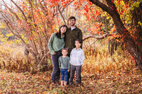Kayo fall mini 2024