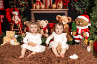 Willow christmas mini 2024