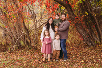 Kate Benson fall minis 2024