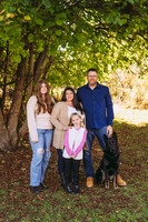 Dawn fall mini 2024