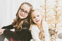 Charlotte and Ila christmas mini session